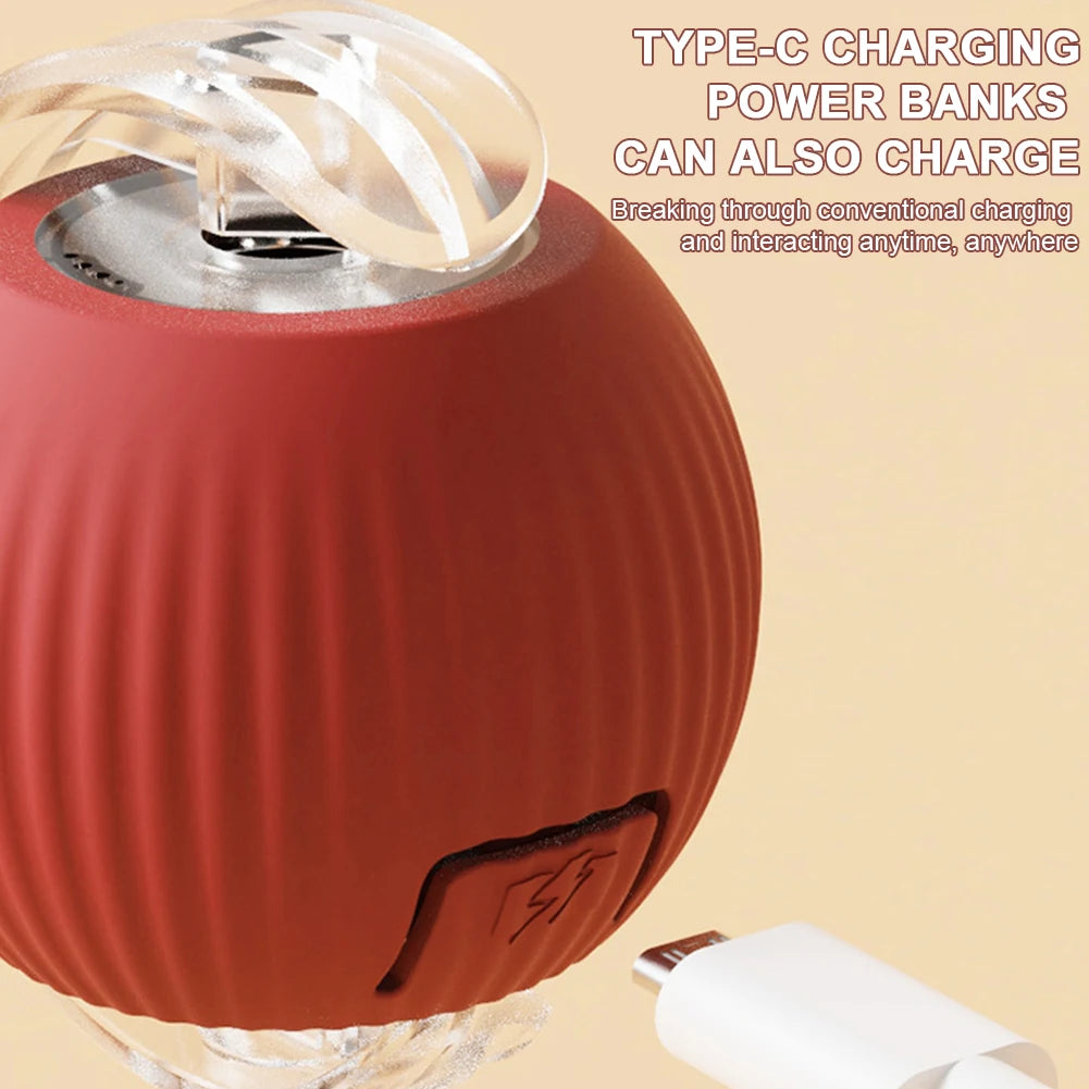 Interactive Automatic Rolling Ball for Cats/Dogs, Rechargeable