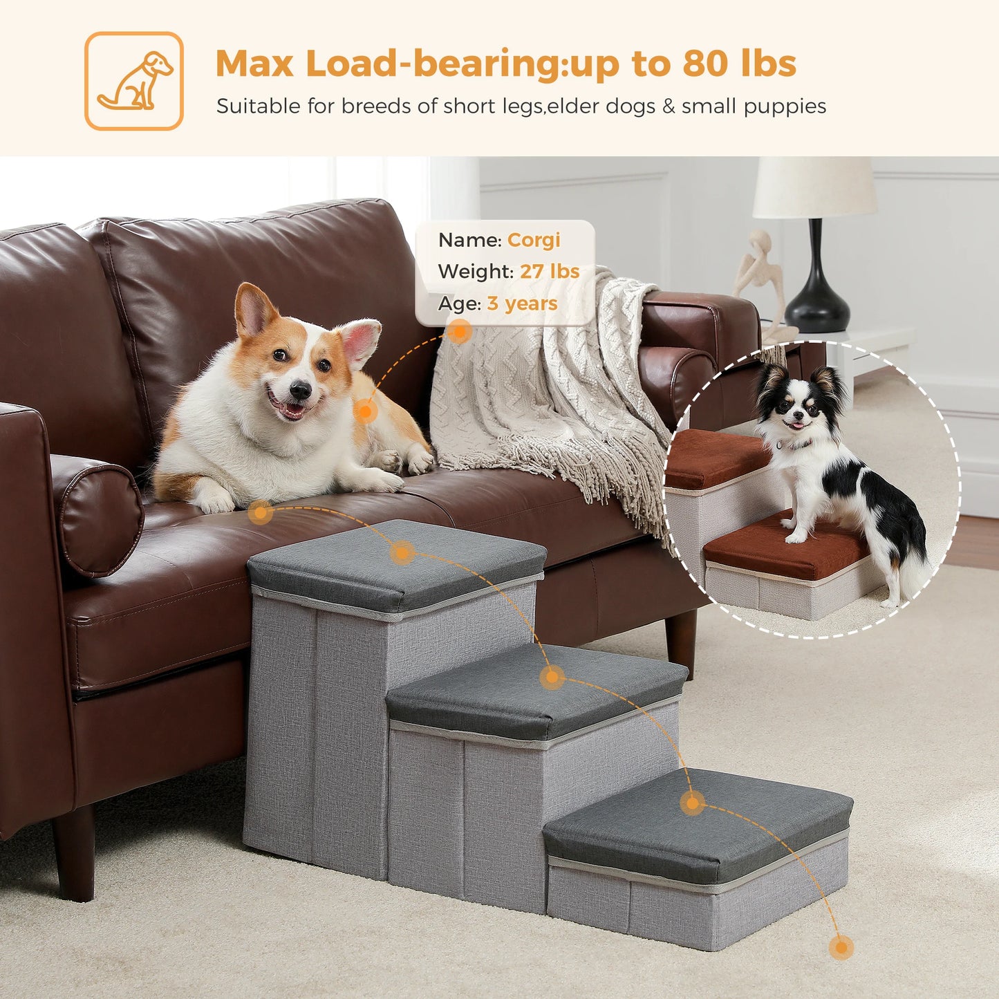 Foldable Pet Stairs with Storage Box