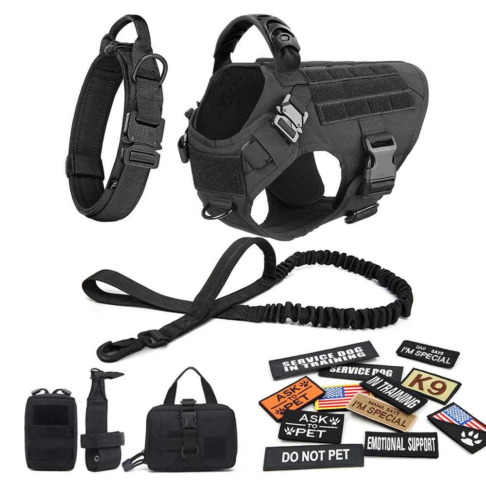 Large Dog Harness, Leash and Collar  with Patches