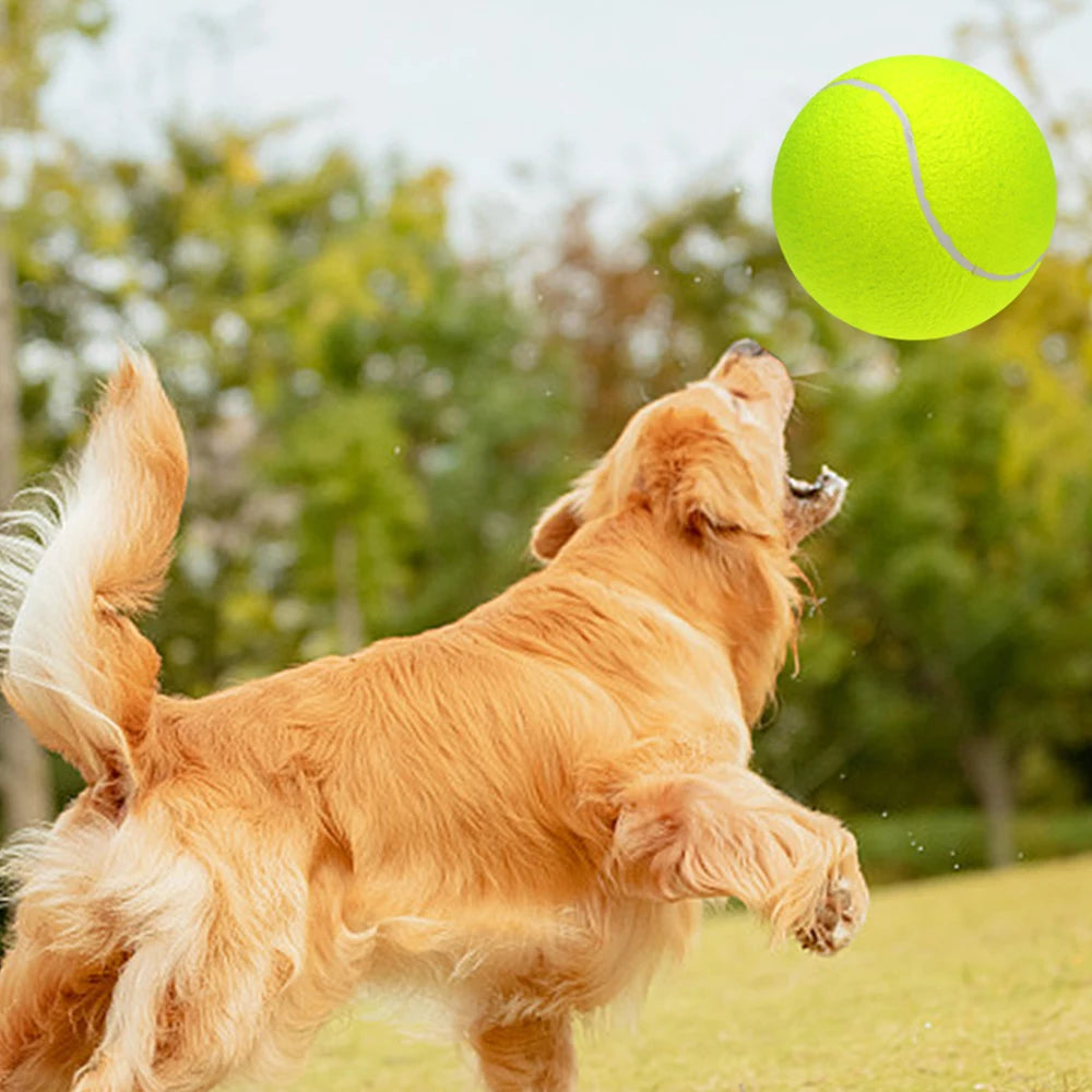 9.5‘’ Oversize Giant Tennis Balls