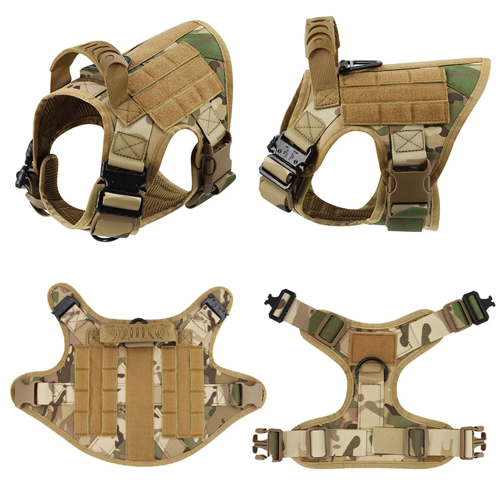 Large Dog Harness, Leash and Collar  with Patches