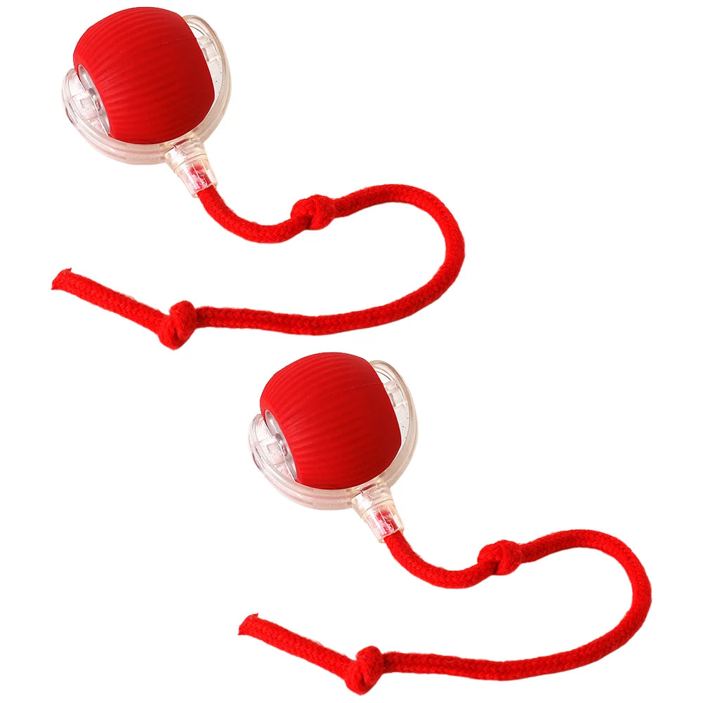 Interactive Automatic Rolling Ball for Cats/Dogs, Rechargeable