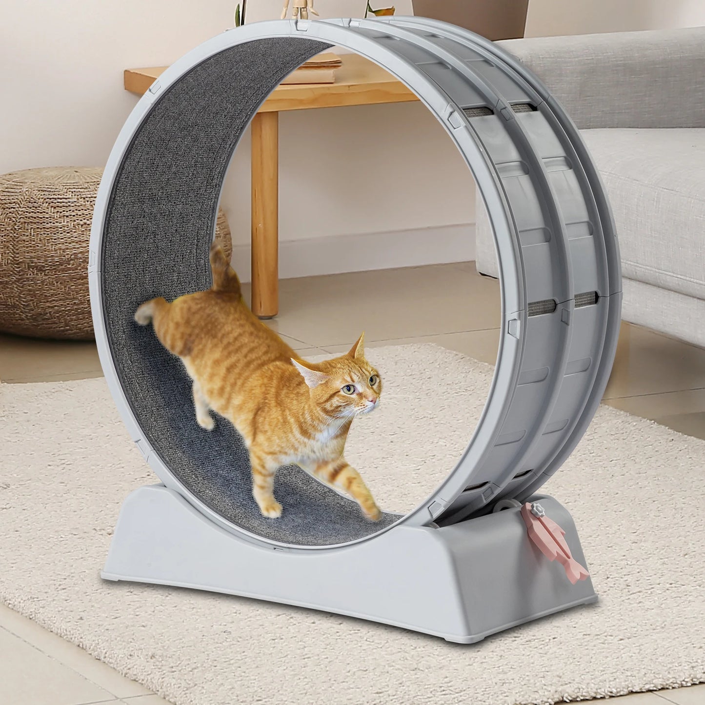 Cat Exercise Wheel