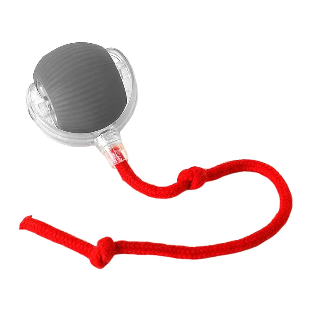 Interactive Automatic Rolling Ball for Cats/Dogs, Rechargeable