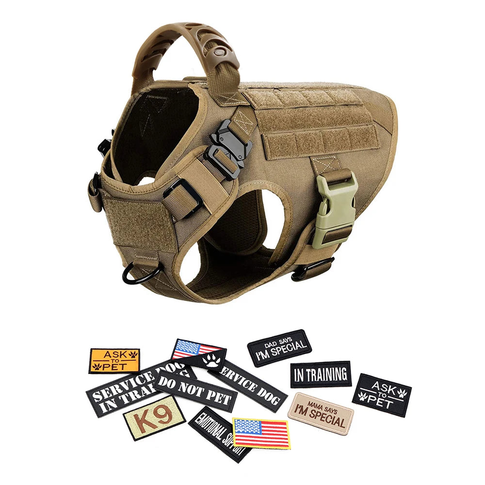 Large Dog Harness, Leash and Collar  with Patches